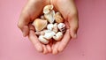 Sea Ã¢â¬â¹Ã¢â¬â¹animal shells like as mallusca and other